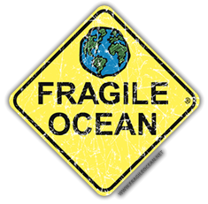 Fragile Ocean